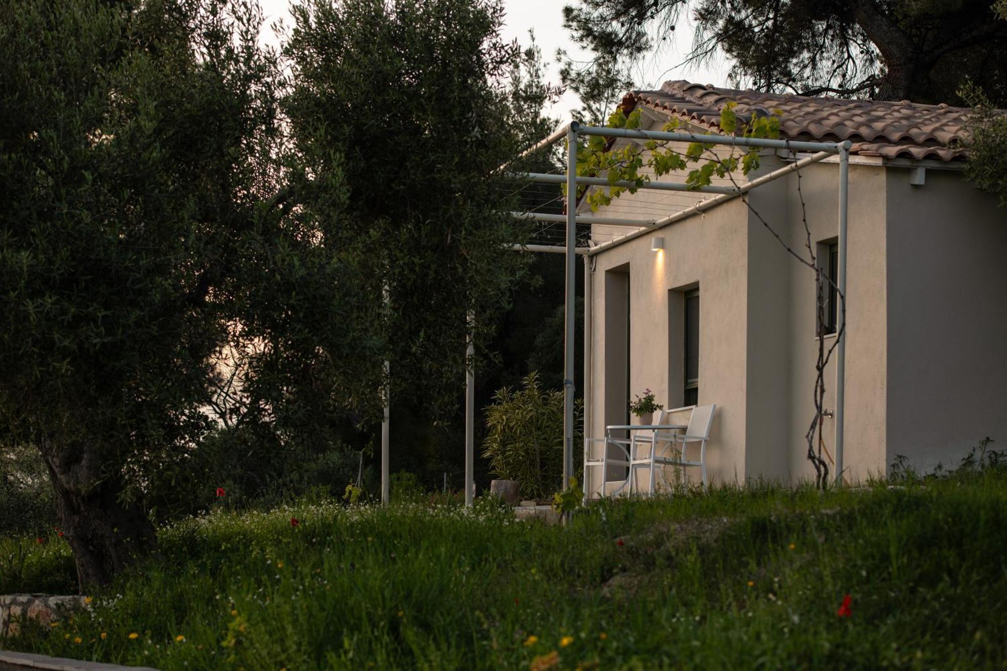 Olive Grove - With Private Pool And Garden Βίλα Νικήτη