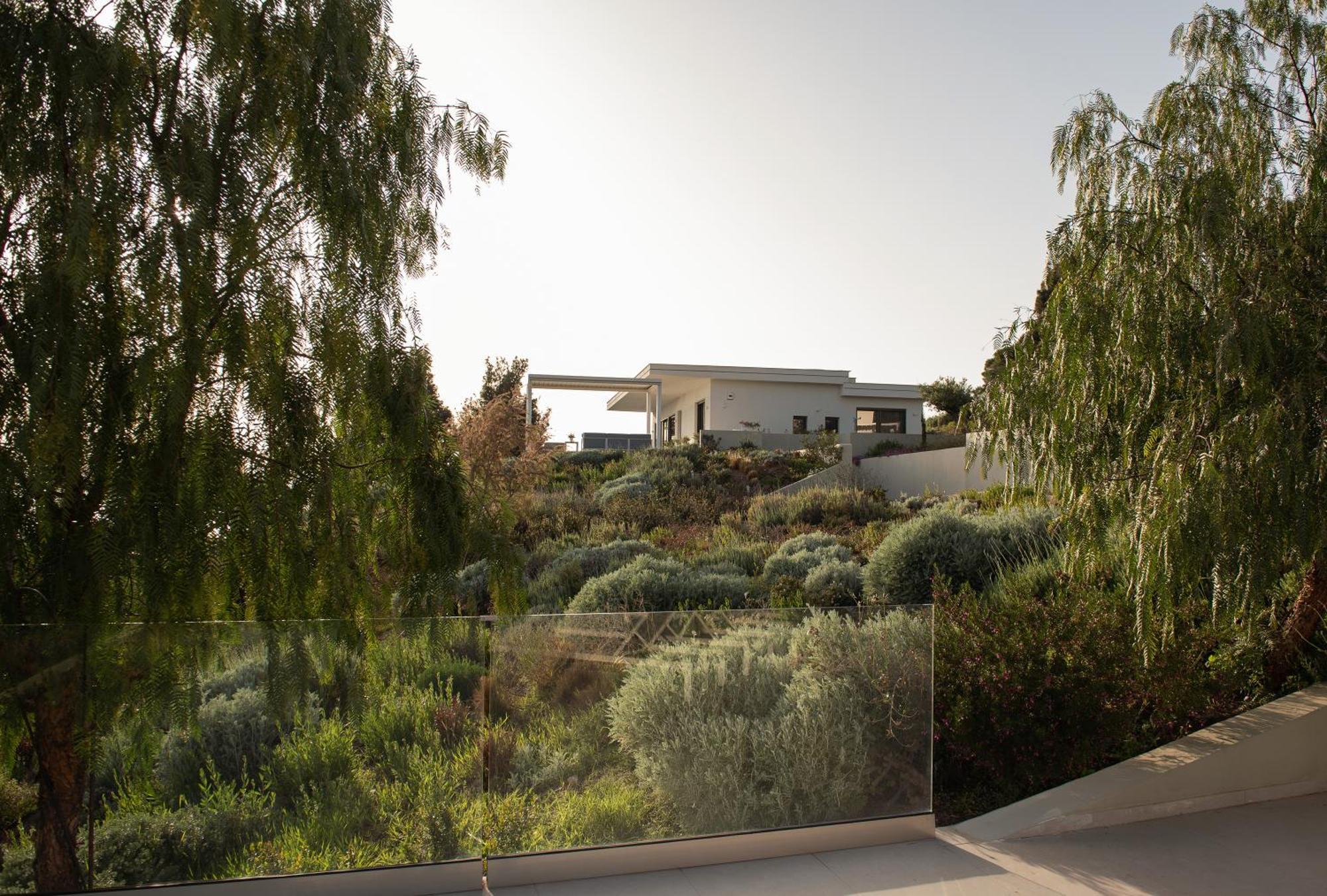 Olive Grove - With Private Pool And Garden וילה ניקיטי