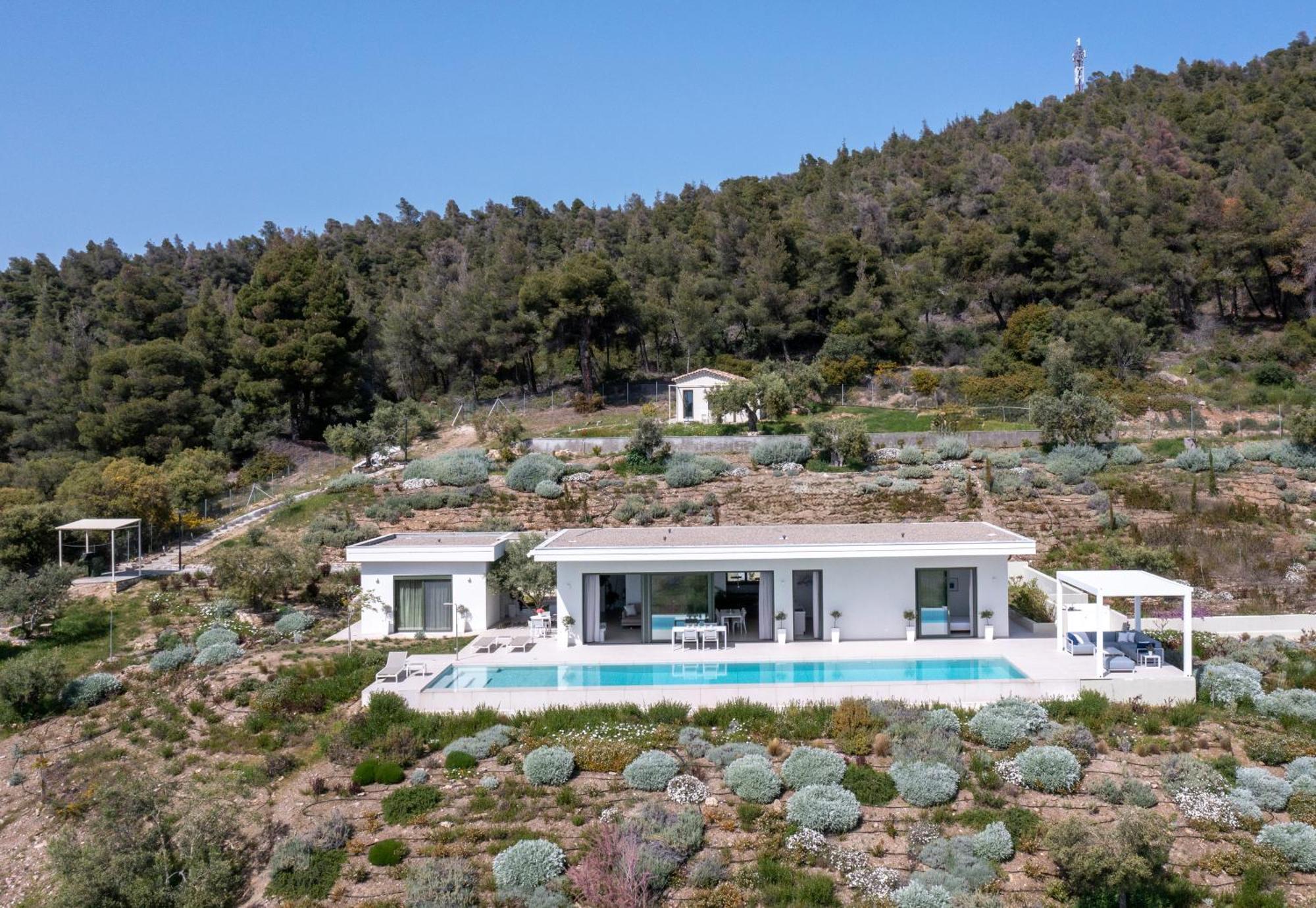 Olive Grove - With Private Pool And Garden וילה ניקיטי